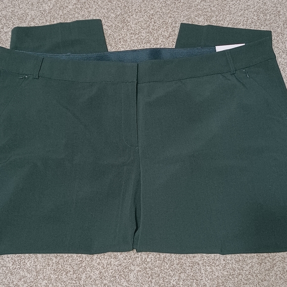 Lane Bryant Allie Hunter Green Ankle Pants - Picture 3 of 6